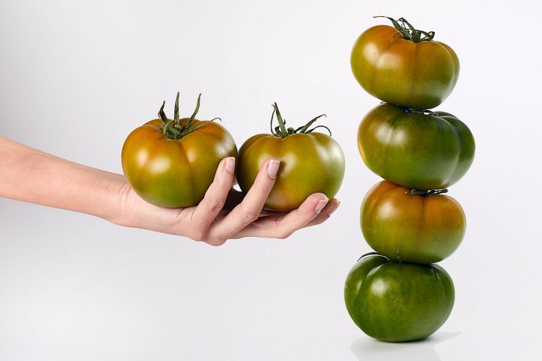 tomate liso agrupalmeria