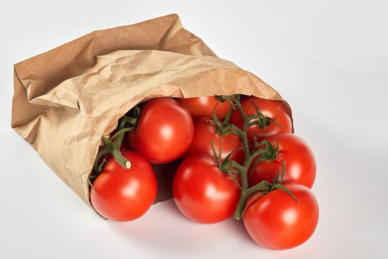 tomate rama venta