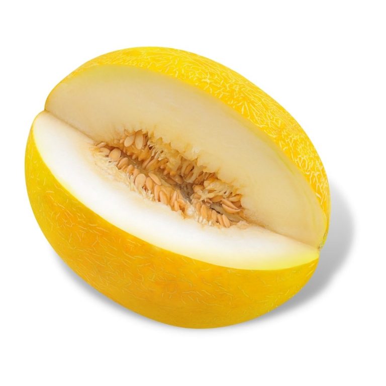 melon amarillo agrupalmeria