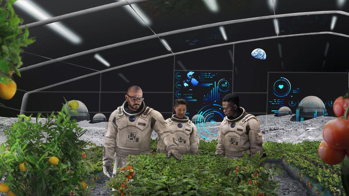 NASA cultiva tomates en la Luna