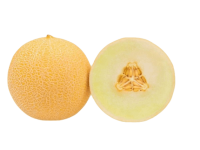 melon-de-galia