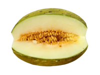 melon-piel-de-sapo